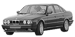 BMW E34 P1223 Fault Code